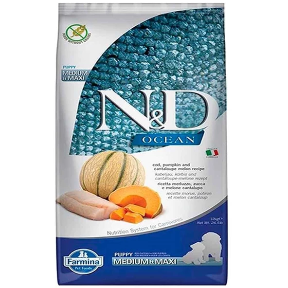 N&D Ocean Morina Balıklı Bal Kabaklı ve Kavunlu Orta ve Büyük Irk Tahılsız Yavru Köpek Maması 12 Kg ürün görseli 1