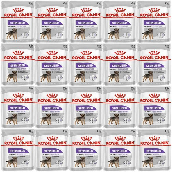 Royal Canin CCN Sterilised Pouch Köpek Yaş Maması 85gr*20 Adet ürün görseli 1