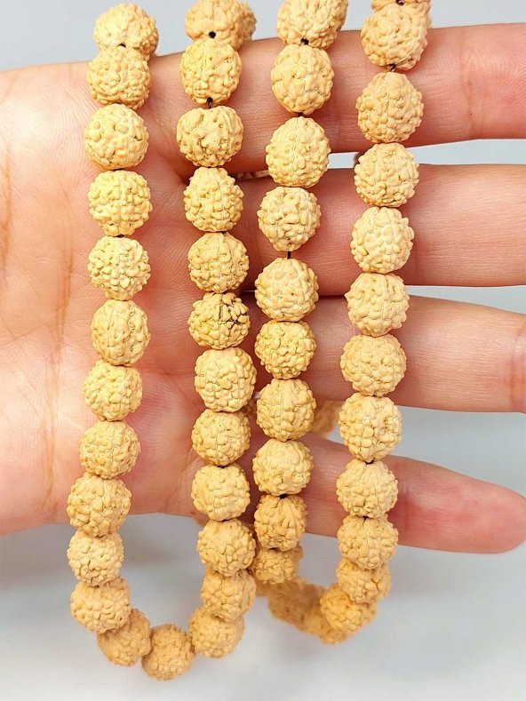 Açık Renk Süt Rudraksha Tohum Dizi 8-9mm aralığı (Mala yapımı için) 108 lik ürün görseli 1