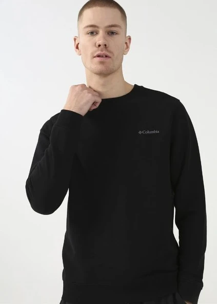 Columbia Csc M Basic Crew Erkek Sweatshirt CS0204 ürün görseli 1