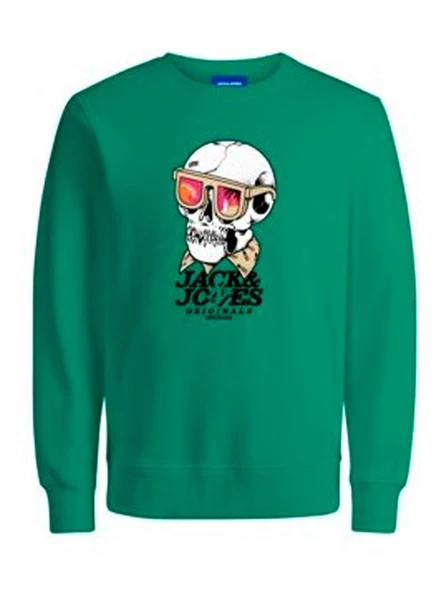 JACK JONES Erkek Kuru Kafa Baskılı Bisklet Yaka Sweatshirt 12244220 ürün görseli 1
