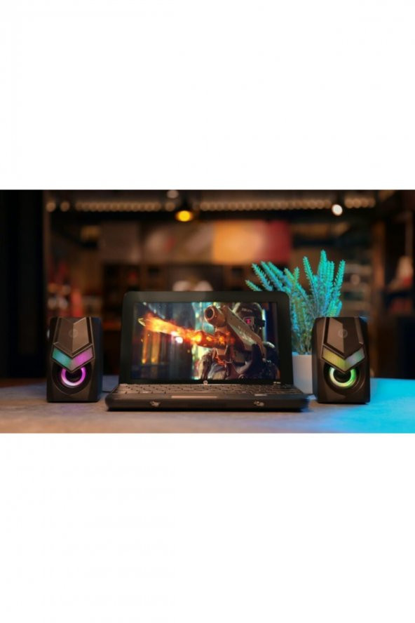 HP DHE-6000 2.0 Rgb Multimedya Speaker Hoparlör - Resim 6