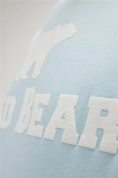 BAD BEAR TEE ERKEK TSHIRT - Resim 3
