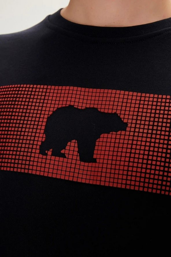 BAD BEAR FANCY CREWNECK ERKEK SWEATSHIRT - Resim 8