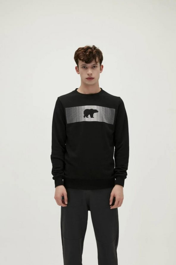 BAD BEAR FANCY CREWNECK ERKEK SWEATSHIRT - Resim 10