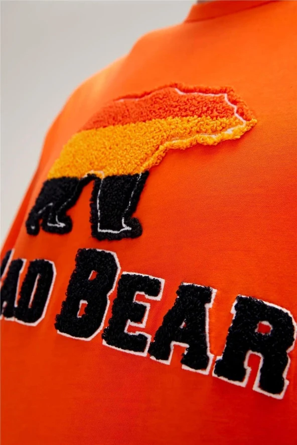 BAD BEAR TRIPART ERKEK T-SHIRT - Resim 11