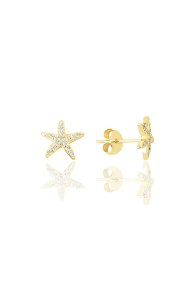 Gümüş Altın Yaldızlı Zirkon Taşlı Deniz Yıldızı Modeli Küpe SGTL9725GOLD ürün görseli 1