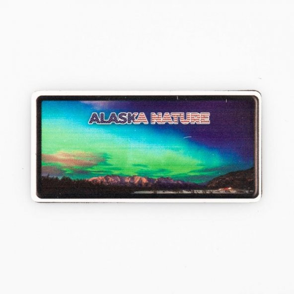 ABD Alaska Plaka Magnet ürün görseli 1
