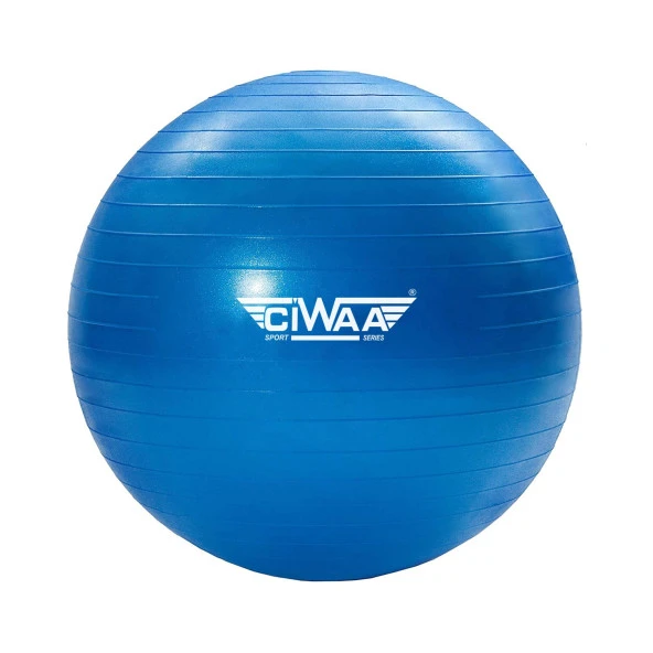 Ciwaa Cwa-2044 Pilates Topu 65 Cm Mavi Pompa Hediyeli ürün görseli 1