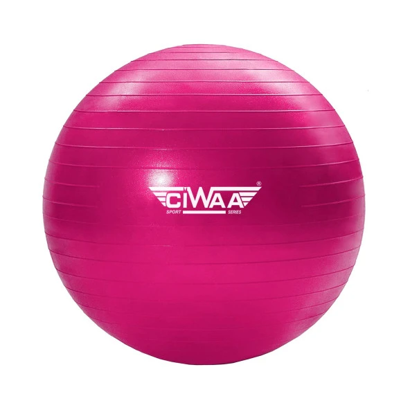 Ciwaa Cwa-2047 Pilates Topu 75 Cm Pembe Pompa hediyeli ürün görseli 1