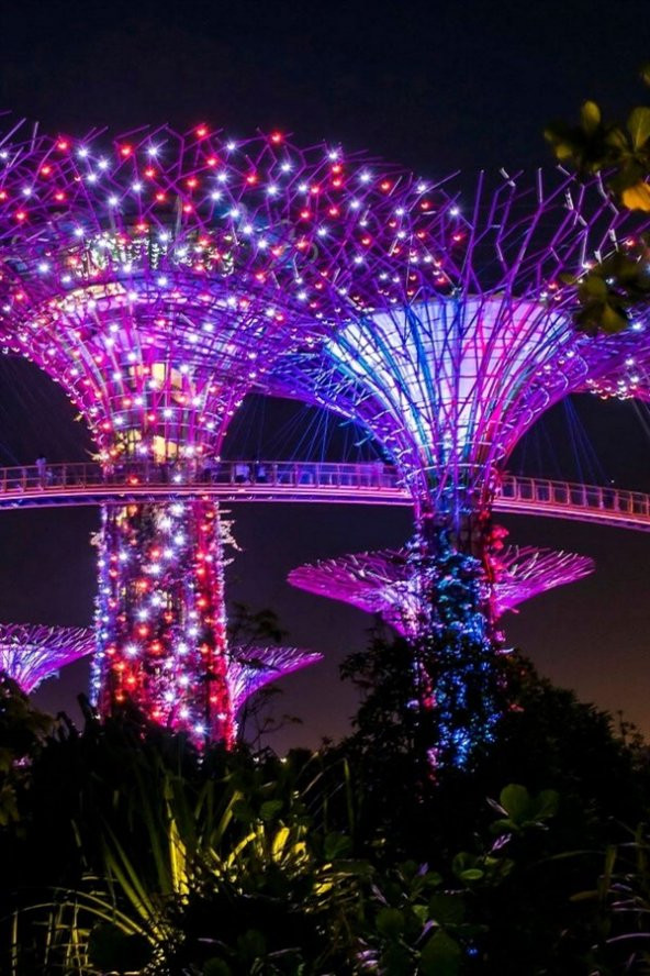 Singapur Temalı Fresco Magnet - Resim 4