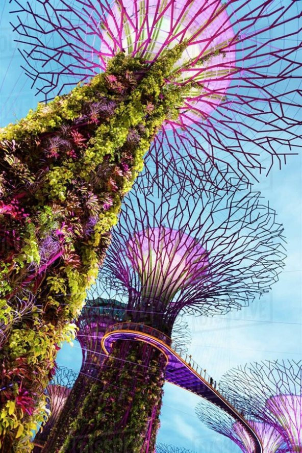 Singapur Temalı Fresco Magnet - Resim 5