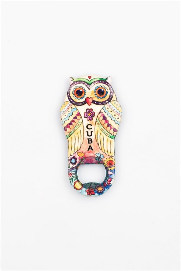 Küba Temalı Baykuş Magnet Kapak Açacak - Resim 3