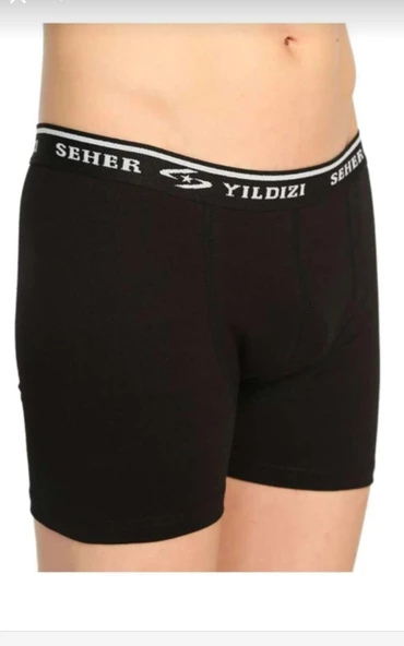 SEHER YILDIZI 0060 ERKEK LİKRALI BOXER 12 ADET ürün görseli 1