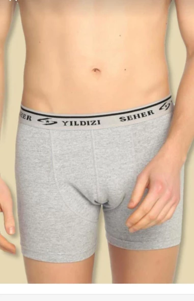 SEHER YILDIZI 0060 ERKEK LİKRALI BOXER 6 ADET ürün görseli 1