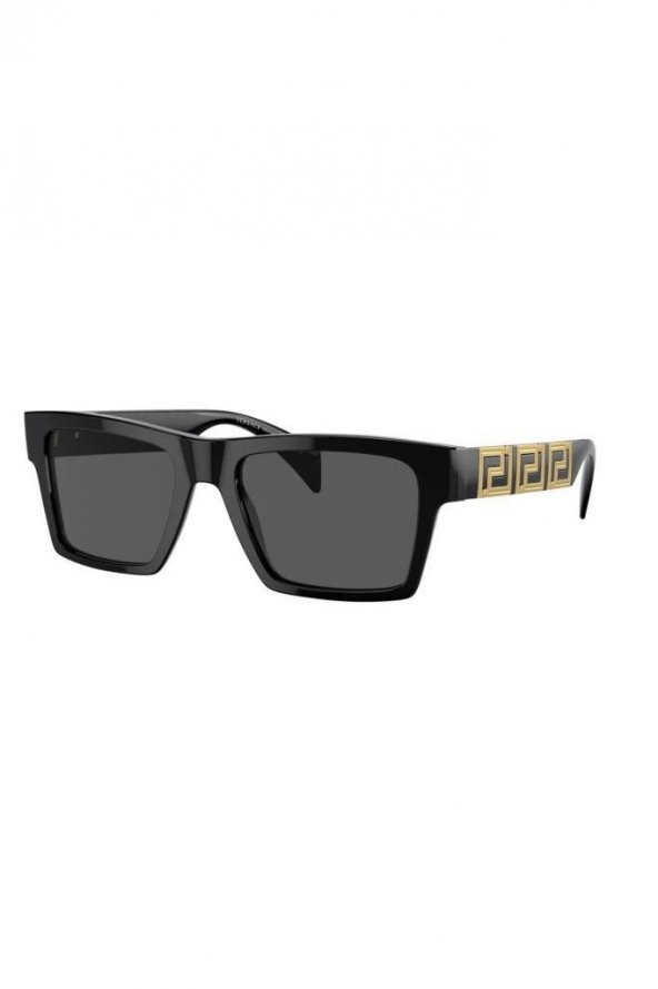 VERSACE VE 4445 COL GB1/87 54-19-145 ERKEK GÜNEŞ GÖZLÜĞÜ ürün görseli 1