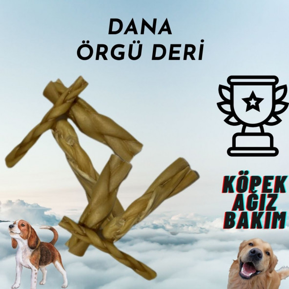 Dana Örgü Deri 100 gr Köpek Ödülü ürün görseli 1
