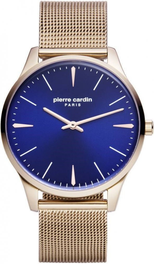 PIERRE CARDIN 902271F14 ERKEK KOL SAATİ ürün görseli 1