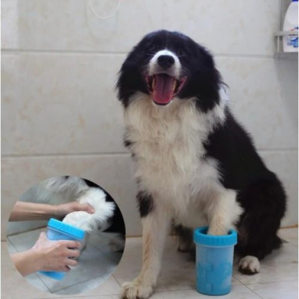 3B Trend Köpek Pati Yıkama ve Temizleme Aparatı Küçük Boy ürün görseli 1