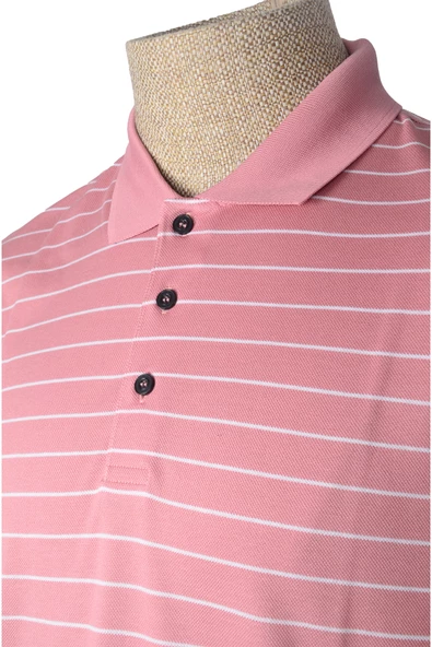 Cengiz İnler Polo Yaka Erkek T-shirt ürün görseli 1