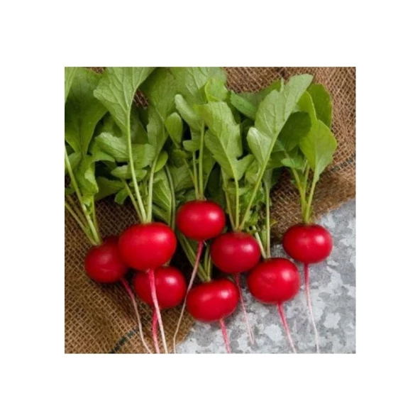 Agrokar Fındık Turp 10 GR ürün görseli 1