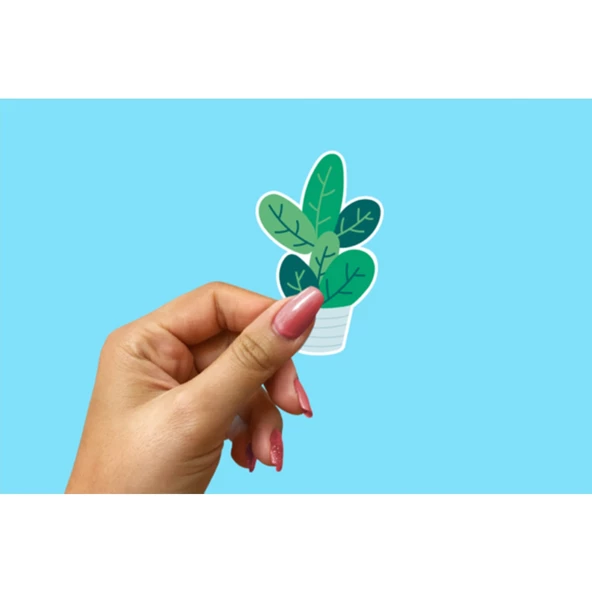 Çicekler-Flowers Sticker Seti - Resim 5