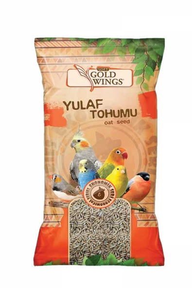 Gold Wings Yulaf 300 gr   Skt :11/2027 ürün görseli 1