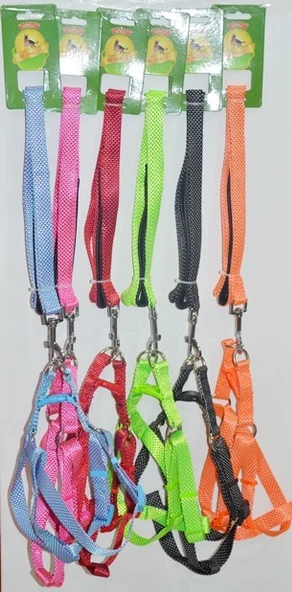 ROYALIST 201629 KÖPEK GÖĞÜS TAKIMI 2.5CM ürün görseli 1