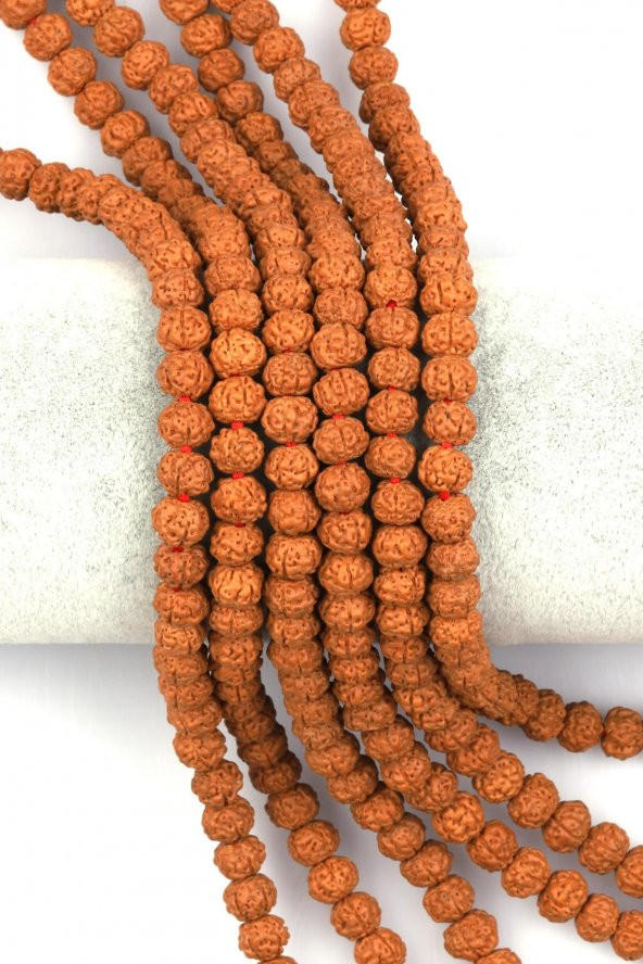 Rudraksha Tohumu Dizi 6 x 7 mm Rondel Kesim ürün görseli 1