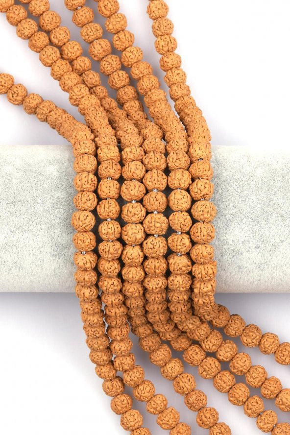 Rudraksha Tohumu Dizi 7 x 9 mm Rondel Kesim ürün görseli 1