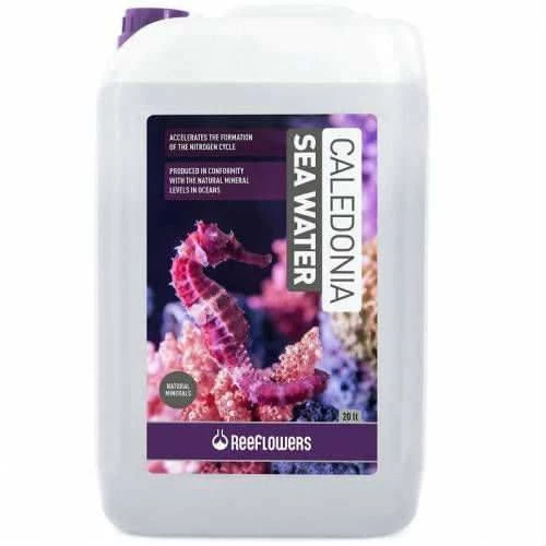 Reeflowers Caledonia Sea Water 20 Lt. Tuzlu Su Akvaryumları İçin Hazır Su ürün görseli 1