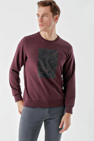 Slimfit Bisiklet Yaka Önü Baskılı 2 İplik Erkek Sweatshirt ürün görseli 1