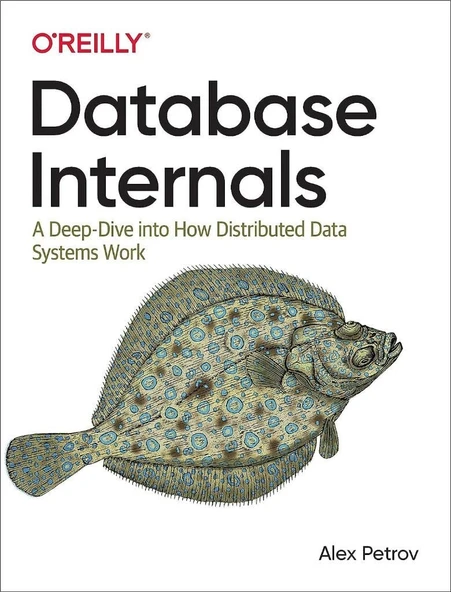 Database Internals: A Deep Dive into How Distributed Data Systems Work Alex Petrov ürün görseli 1