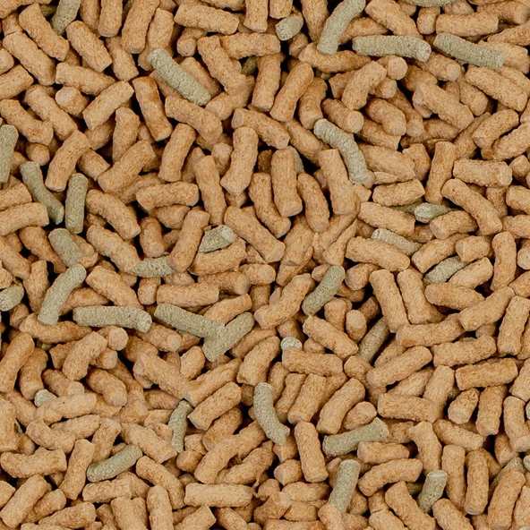 Sera Raffy P Sticks Nature 250 gr. SKT : 07/2028 Kaplumbağa Yemi ürün görseli 1