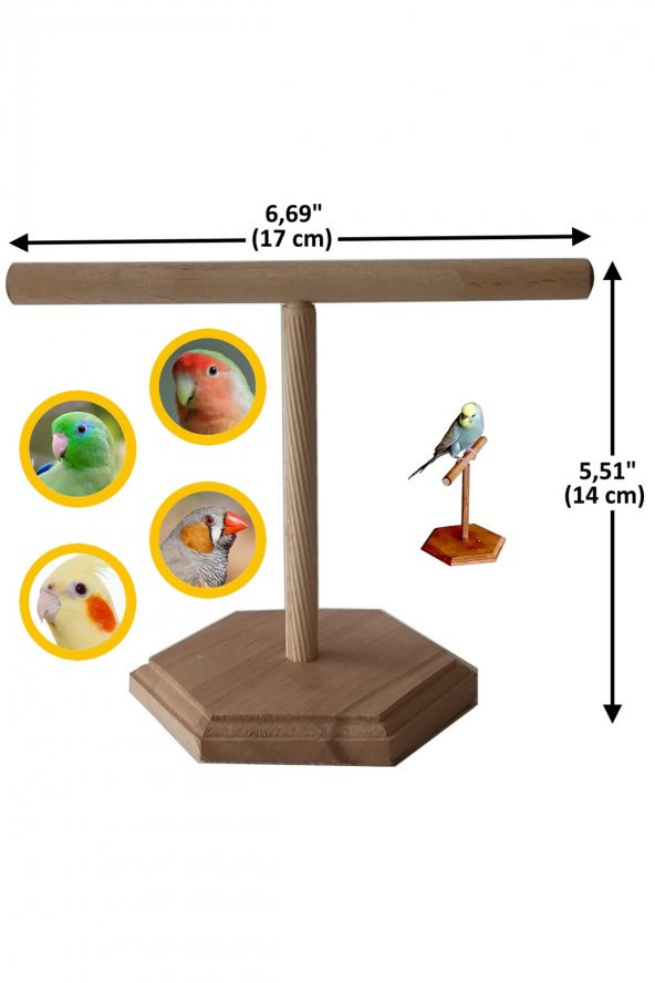 Ahşap Kuş Eğitim Tüneği - Resim 2