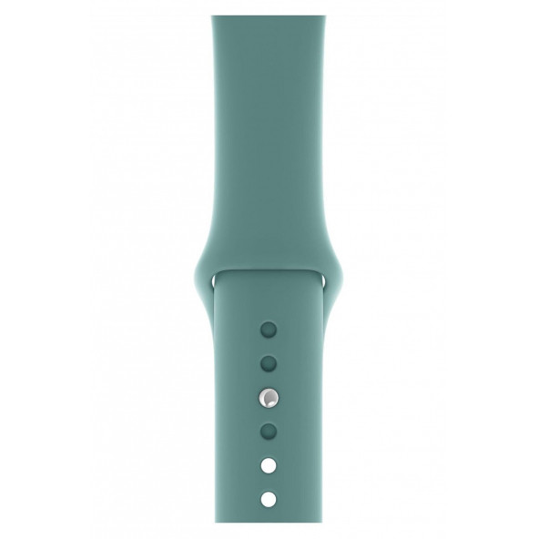 DESİNGSHOP Watch 2 3 4 5 6 7 Se 3 41mm A+ Kaliteli Silikon Kordon Uyumlu ürün görseli 1
