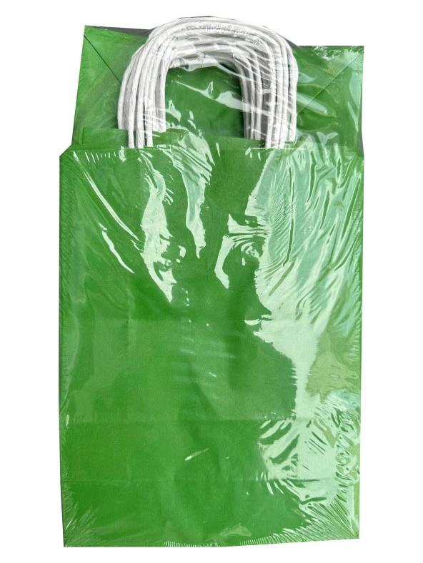 Büküm Saplı Kraft Kağıt Çanta Karton Hediyelik Poşet Torba - Yeşil - 18x24 Cm. -25 Adetlik 4 Paket ürün görseli 1