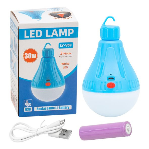 Powermaster LY-V09 Ampül - Resim 6