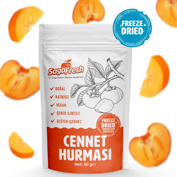 SagaFresh Dondurularak Kurutulmuş Cennet Hurması Dilimleri 30g ürün görseli 1