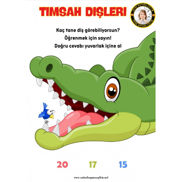 Okul Öncesi Matematik Ders Kitabı - Resim 2
