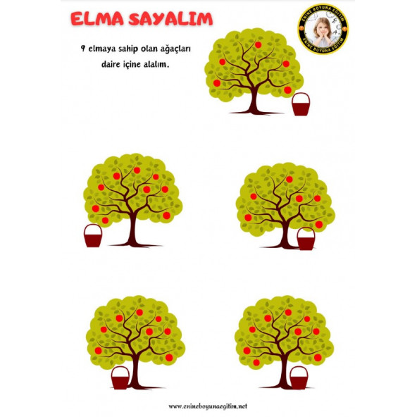 Okul Öncesi Matematik Ders Kitabı - Resim 7