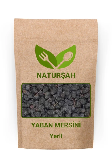 Naturşah Yaban Mersini Murt 100 Gr ürün görseli 1