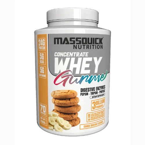 MassQuick Gurme Whey Protein Tozu 70 Servis - Resim 2