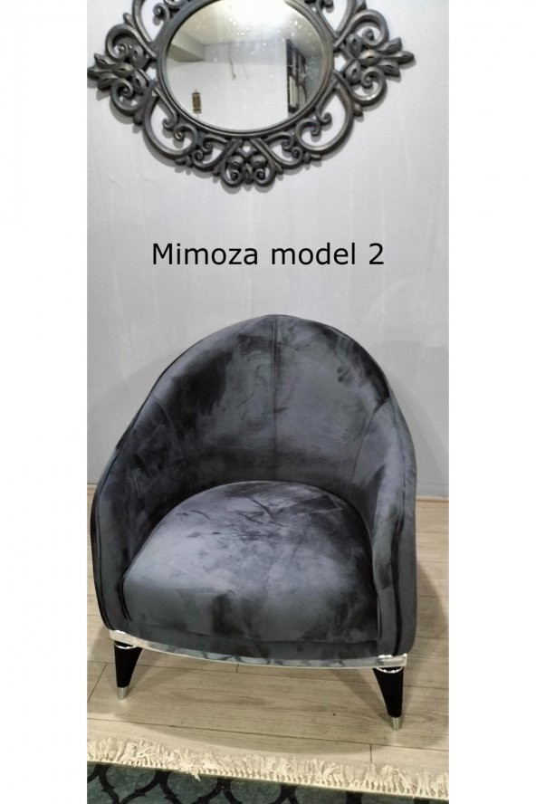 TİTİZKOLTUK Mimoza Berjer - Resim 2