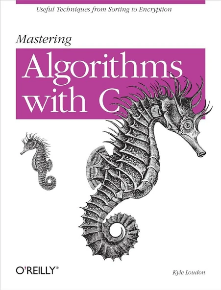 Mastering Algorithms with C: Useful Techniques from Sorting to Encryption Kyle Loudon ürün görseli 1