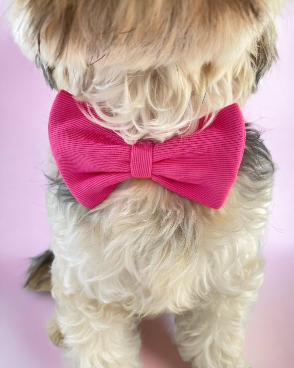 Pinky Pie Köpek Papyonu Kurdela - Resim 4