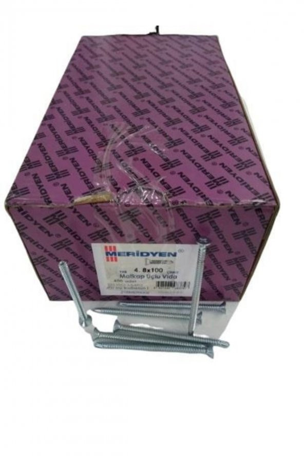 Akıllı Vida Matkap Uçlu 4.8x100mm - 400 Adet ürün görseli 1