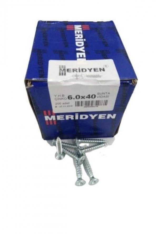 Sunta Vidası 6,0x40 Mm 200 Ad ürün görseli 1