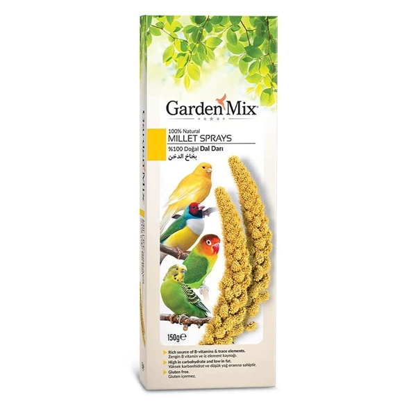 Gardenmix Platin Sarı Dal Darı ürün görseli 1