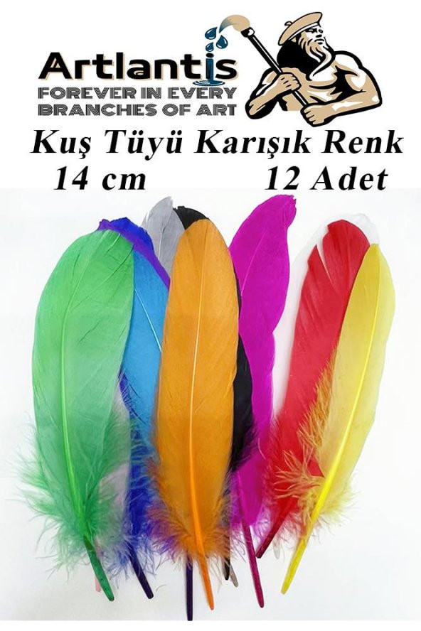 Kuş Tüyü Renkli 12 Li 1 Paket 14 cm Tüy Karışık Renk Hobi Okul Öncesi Kreş Anasınıfı Kuş ve Kaz Tüyü Renkli ürün görseli 1